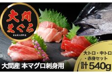 津軽海峡　大間産　極上本マグロ刺身用サク(大トロ・中トロ・赤身)食べ比べセット