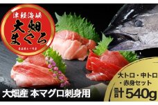 産地直送！　津軽海峡　大畑産　厳選本マグロ刺身用サク(大トロ・中トロ・赤身)食べ比べセット