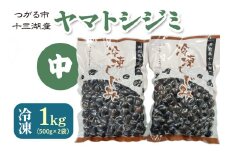 青森県十三湖産【冷凍】ヤマトシジミ 中 1kg｜十三湖産 青森 津軽 つがる しじみ みそ汁 味噌汁 しじみ汁 [0016]