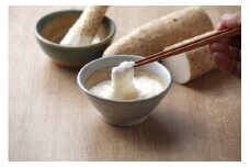 砂丘 ながいも 10kg｜青森 つがる市産 長芋 なが芋 野菜 とろろご飯 おつまみ [0525]