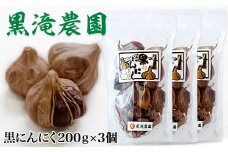 元気・活力・健康の源！ 黒にんにく山盛りセット｜青森 津軽 つがる 特産 ニンニク 料理 免疫 黒滝農園 にんにく 黒ニンニク 国産 青森産 [0329]