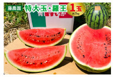 スイカ (特大玉) 羅王 1玉｜青森産 産直 2025年産 令和7年 夏 すいか 西瓜 果物 フルーツ 旬 特産 藤農園 農福連携 ラオウ らおう 羅皇 先行受付 [0835]