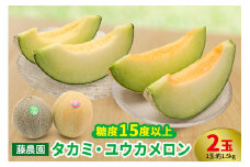 メロン [タカミ] [ユウカ] 2玉セット｜青森産 産直 2025年産 令和7年 夏 めろん 果物 フルーツ 旬 特産 藤農園 農福連携 先行受付 [0837]