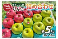 りんご 詰め合わせ 約5kg(16～18玉) 青森産 つがる市【2024年11月下旬より順次発送】｜青森県産 津軽 つがる リンゴ 果物 サンふじ ふじ 王林 おうりん オウリン 青森りんご りんご 詰合せ りんごセット ギフト 贈り物 [0609]
