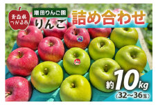 りんご 詰め合わせ 約10kg(32～36玉) 青森産 つがる市【2024年11月下旬より順次発送】｜青森県産 津軽 つがる リンゴ 果物 サンふじ サンフジ ふじ 王林 おうりん オウリン 青森りんご りんご 詰合せ りんごセット ギフト 贈り物 [0610]