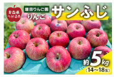 りんご サンふじ 約5kg (14玉から18玉) 青森産 つがる市【2025年11月下旬より順次発送】｜青森県産 津軽 つがる リンゴ 果物 フルーツ 青森 ふじ さんふじ サンフジ 令和7年 2025年 [0612]