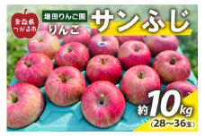 りんご サンふじ 約10kg (28玉から36玉) 青森産 つがる市【2025年11月下旬より順次発送】｜青森県産 津軽 つがる リンゴ 果物 フルーツ 青森 ふじ さんふじ サンフジ 令和7年 2025年 [0613]