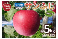 りんご サンふじ 葉取らず 約5kg(16から18玉) 青森産 つがる市【2025年11月下旬より順次発送】｜青森県産 津軽 リンゴ りんご 葉とらず 青森りんご 果物 フルーツ 2025年産 令和7年産 [0831]