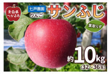 りんご サンふじ 葉取らず 約10kg(32から36玉) 青森産 つがる市【2025年11月下旬より順次発送】｜青森県産 津軽 リンゴ りんご 葉とらず 青森りんご 果物 フルーツ 2025年産 令和7年産 [0832]
