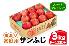 家庭用 りんご サンふじ スマートフレッシュ™ 3kg (9玉から12玉入り 3kg 1箱) 見た目にわけあり 味はそのまま｜青森 つがる 訳あり リンゴ [0794]
