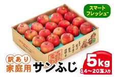 家庭用 りんご サンふじ スマートフレッシュ™ 5kg (14玉から20玉入り 5kg 1箱) 見た目にわけあり 味はそのまま｜青森 つがる 訳あり リンゴ [0795] 