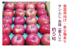 [家庭用向け・多少傷あり] サンふじ りんご 赤特(蜜入り) 約5kg(20玉)｜青森産 つがる 津軽 リンゴ 林檎 果物 フルーツ サンフジ 2024年 令和6年 ふじ 青森りんご りんご 訳あり 訳アリ [0718]