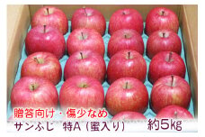 [贈答向け・傷少なめ] サンふじ りんご 特A(蜜入り) 約5kg(20玉)｜青森産 つがる 津軽 リンゴ 林檎 果物 フルーツ サンフジ 2024年 令和6年 ふじ 青森りんご りんご ギフト 贈答 贈り物 [0720]