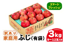 家庭用 りんご ふじ (有袋) スマートフレッシュ™ 3kg (9玉から12玉入り 3kg 1箱) 見た目にわけあり 味はそのまま｜青森 つがる 訳あり 訳アリ リンゴ 青森りんご フルーツ 果物 [0829]