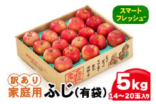 家庭用 りんご ふじ (有袋) スマートフレッシュ™ 5kg (14玉から20玉入り 5kg 1箱) 見た目にわけあり 味はそのまま｜青森 つがる 訳あり 訳アリ リンゴ 青森りんご フルーツ 果物 [0830] 