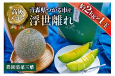 高級 メロン『浮世離れ』1玉【2025年7月下旬～8月上旬まで順次発送】一度は食べてみたい！市場に出回らない｜青森県 青森産 津軽 つがる めろん メロン 果物 フルーツ 夏メロン 青森メロン [0617]