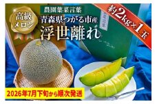 高級 メロン『浮世離れ』1玉【2026年7月下旬から8月上旬まで順次発送】一度は食べてみたい！市場に出回らない｜青森県 青森産 津軽 つがる めろん メロン 果物 フルーツ 夏メロン 青森メロン [0893]