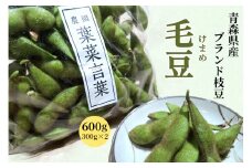 農園 葉菜言葉のおいしい毛豆 600g 令和7年産｜青森県産 枝豆 ブランド枝豆 おつまみ 大粒豆 けまめ えだまめ 2025年産 [0532]