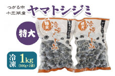 青森県十三湖産【冷凍】ヤマトシジミ 特大 1kg｜十三湖産 青森 津軽 つがる しじみ みそ汁 味噌汁 しじみ汁 [0554]