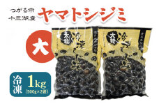 青森県十三湖産【冷凍】ヤマトシジミ 大 1kg｜十三湖産 青森 津軽 つがる しじみ みそ汁 味噌汁 しじみ汁 [0555]