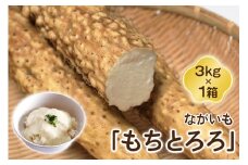 ながいも「もちとろろ」3kg×1箱｜青森産 長芋 長いも なが芋 野菜 とろろご飯 [0631]