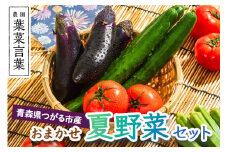 葉菜言葉のおまかせ夏野菜セット 約1kg 令和7年産｜旬の野菜 夏 野菜セット 冷蔵 詰め合わせ 産直 農家直送 新鮮 ギフト サラダ 2025年産 [0636]