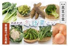 葉菜言葉のおまかせ冬野菜セット 1kg｜旬の野菜 冬 野菜セット 詰め合わせ 産直 農家直送 新鮮 ギフト 鍋 [0637]
