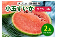 小玉すいか (ひとりじめ) 2玉入｜2025年産 令和7年 小玉 スイカ すいか 西瓜 果物 フルーツ 旬 産直 特産品 数量限定 [0842]