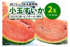 小玉すいか (ひとりじめ・ピノガール MIX) 2玉入｜2025年産 令和7年 小玉 スイカ すいか 西瓜 果物 フルーツ 旬 産直 特産品 食べ比べ 数量限定 [0843]