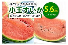 小玉すいか (ひとりじめ・ピノガール MIX) 5玉から6玉入｜2025年 令和7年 小玉 スイカ すいか 西瓜 果物 フルーツ 旬 産直 特産品 食べ比べ 数量限定 [0647]