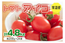 愛菜果えりーと倶楽部のミニトマト アイコ24袋｜2025年産 令和7年 国産 野菜 トマト ミニトマト サラダ 新鮮 フレッシュ リコピン [0673]