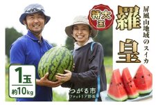 屏風山地域のスイカ 羅皇 (特大玉) 1玉｜スイカ すいか 羅王 羅皇 西瓜 果物 フルーツ らおう ラオウ 夏 旬 特産品 産直 2025年産 令和7年 青森 つがる市産 数量限定 特大 [0641]