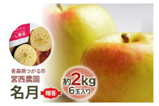 [贈答用] 名月【約2kg 6玉入り】糖度15度以上のりんご｜令和7年 2025年 ギフト 青森産 津軽 つがる りんご リンゴ 果物 フルーツ めいげつ [0678]
