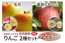 [贈答用] 名月×葉取らずふじ【約2kg 各3玉入り 計6玉】贅沢りんご 2種セット｜令和7年 2025年 ギフト 青森産 津軽 つがる りんご リンゴ 果物 フルーツ めいげつ フジ [0681]