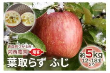 [贈答] 葉取らずふじ【約5kg 12から18玉入り】園主選抜の特選りんご｜令和7年 2025年 ギフト 青森産 津軽 つがる りんご リンゴ 果物 フルーツ フジ [0685]