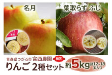 [贈答] 名月×葉取らずふじ【約5kg 計12から18玉入り】贅沢りんご 2種セット｜令和7年 2025年 ギフト 青森産 津軽 つがる りんご リンゴ 果物 フルーツ めいげつ フジ [0686]