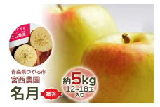 [贈答] 名月【約5kg 12から18玉入り】糖度15度以上のりんご｜令和7年 2025年 ギフト 青森産 津軽 つがる りんご リンゴ 果物 フルーツ めいげつ [0683]