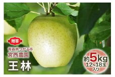 [贈答] 王林【約5kg 12から18玉入り】芳醇な香りの青りんご｜令和7年 2025年 ギフト 青森産 津軽 つがる りんご リンゴ 果物 フルーツ おうりん [0684]