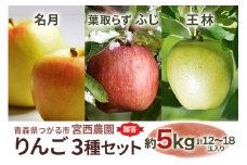 [贈答] 名月×葉取らずふじ×王林【約5kg 計12から18玉】贅沢りんご 3種セット｜令和7年 2025年 ギフト 青森産 津軽 つがる りんご リンゴ 果物 フルーツ めいげつ フジ おうりん [0687]