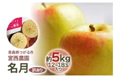 [訳あり] 名月【約5kg 12から18玉入り】糖度15度以上のりんご｜令和7年 2025年 訳アリ 訳あり 家庭用 青森産 津軽 つがる りんご リンゴ 果物 フルーツ めいげつ [0688]