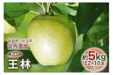 [訳あり] 王林【約5kg 12から18玉入り】芳醇な香りの青りんご｜ 令和7年 2025年 訳アリ 訳あり 家庭用 青森産 津軽 つがる りんご リンゴ 果物 フルーツ おうりん [0689]