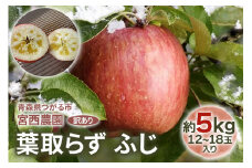 [訳あり] 葉取らず ふじ【約5kg 12から18玉入り】｜令和7年 2025年 訳アリ 訳あり 家庭用 青森産 津軽 つがる りんご リンゴ 果物 フルーツ フジ [0690]