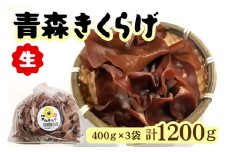 青森きくらげ (生) 400g×3袋入り｜青森 つがる産 キクラゲ 具材 食物繊維 生きくらげ きくらげ 料理 [0861]