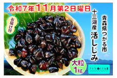 [令和7年11月第2日曜日配達] さとうしじみ屋の十三湖産活しじみ(大粒1kg)[冷蔵]｜十三湖産 青森 津軽 つがる しじみ みそ汁 味噌汁 しじみ汁 活しじみ 冷蔵 [0817]