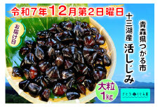 [令和7年12月第2日曜日配達] さとうしじみ屋の十三湖産活しじみ(大粒1kg)[冷蔵]｜十三湖産 青森 津軽 つがる しじみ みそ汁 味噌汁 しじみ汁 活しじみ 冷蔵 [0818]