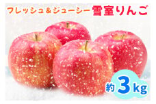 雪の冷蔵庫 雪室りんご 3kg [2025年3月中旬より順次発送]｜青森産 青森りんご りんご リンゴ 林檎 果物 フルーツ サンフジ 雪りんご 雪リンゴ 令和6年 2024年 [0741]