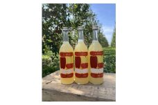 木村農産の黄金比率ブレンド 昔ながらの100%りんごジュース(家庭用箱)計6本 (720ml×6本)×1セット｜青森県産 つがる りんご リンゴ 林檎 ジュース 瓶ジュース 飲料水 フレッシュ 果物 フルーツ 令和6年産 2024年産 [0755]