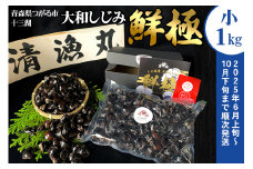 十三湖産 大和しじみ -鮮極- 小貝 1kg (500g×2パック)｜ヤマトシジミ貝 青森 津軽 十三湖 つがる みそ汁 冷蔵 生しじみ しじみ 貝 国産 小粒 しじみ汁 [0766]