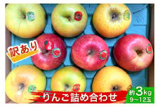 [訳あり] りんご詰め合わせ [約3kg／9～12玉] 木村農産 (家庭用)｜青森県産 つがる リンゴ 林檎 果物 フルーツ 令和6年産 2024年産 訳アリ わけあり [0789]