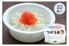 特別栽培米のパックごはん はれわたり「つがる米」10個入り｜パックご飯 ごはん お米 白米 はれわたり 時短 キャンプ お手軽 青森県産米 特別栽培 防災 備蓄 [0791]